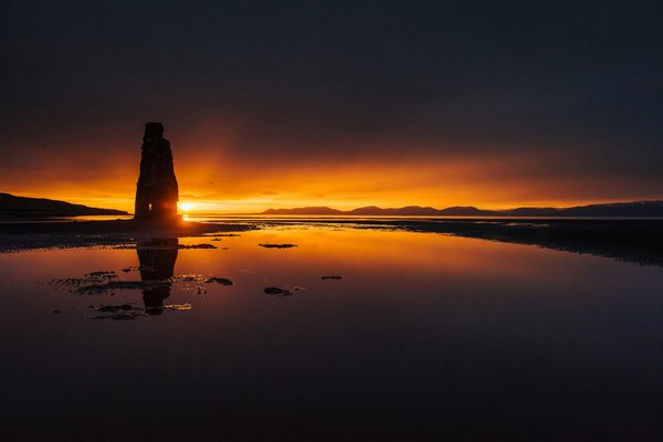 Super silver haze : pourquoi cette variété est une légende